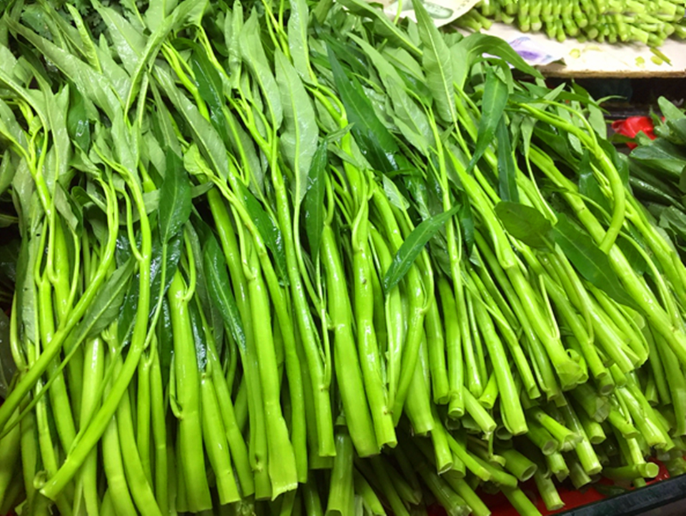 为什么说空心菜是"万毒之王"?真相真是如此吗?看完解惑了