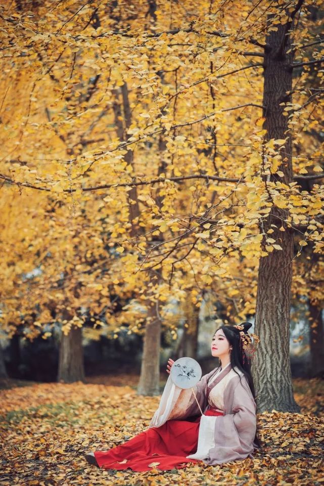 江南到底好在哪?这么吸引你