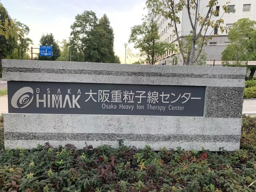 放疗中的 爱马仕 李宗伟 花费936万 的是啥高科技疗法 腾讯新闻