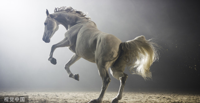 阚伯周死后,没有立长子阚首归为君,反而立了小儿子阚义成为王,阚首归