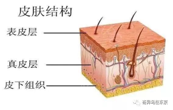 鼻唇沟纹怎么去除,去除鼻唇沟皱纹