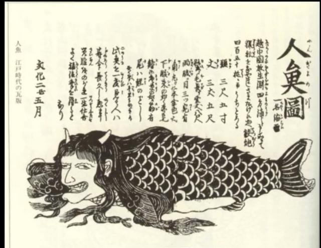 美人鱼传说 真实的美人鱼 腾讯新闻