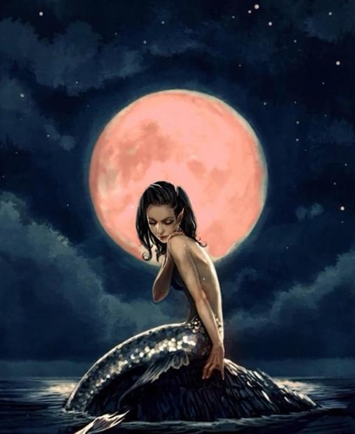 美人鱼传说 真实的美人鱼 腾讯新闻