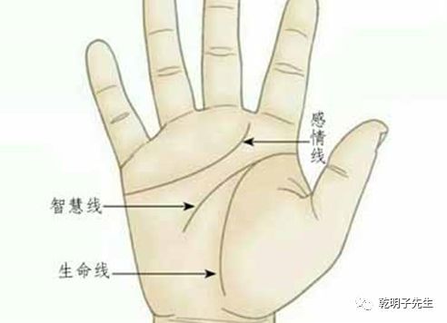 短掌纹代表什么意思 腾讯新闻