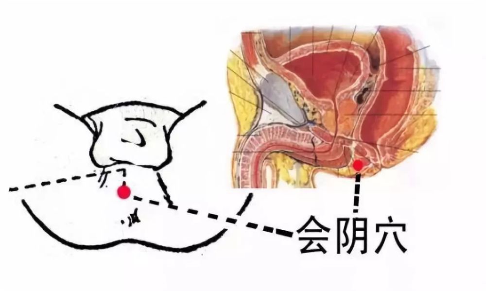 腾讯网