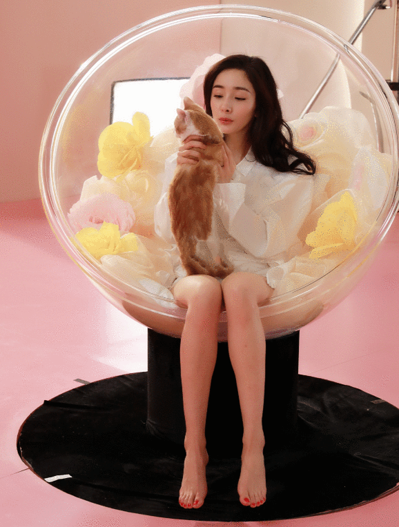 杨幂坐在摇摇椅上撸猫,看到她交叉的双腿,女生承认羡慕了