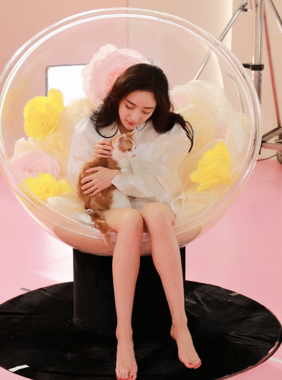 杨幂坐在摇摇椅上撸猫,看到她交叉的双腿,女生承认羡慕了