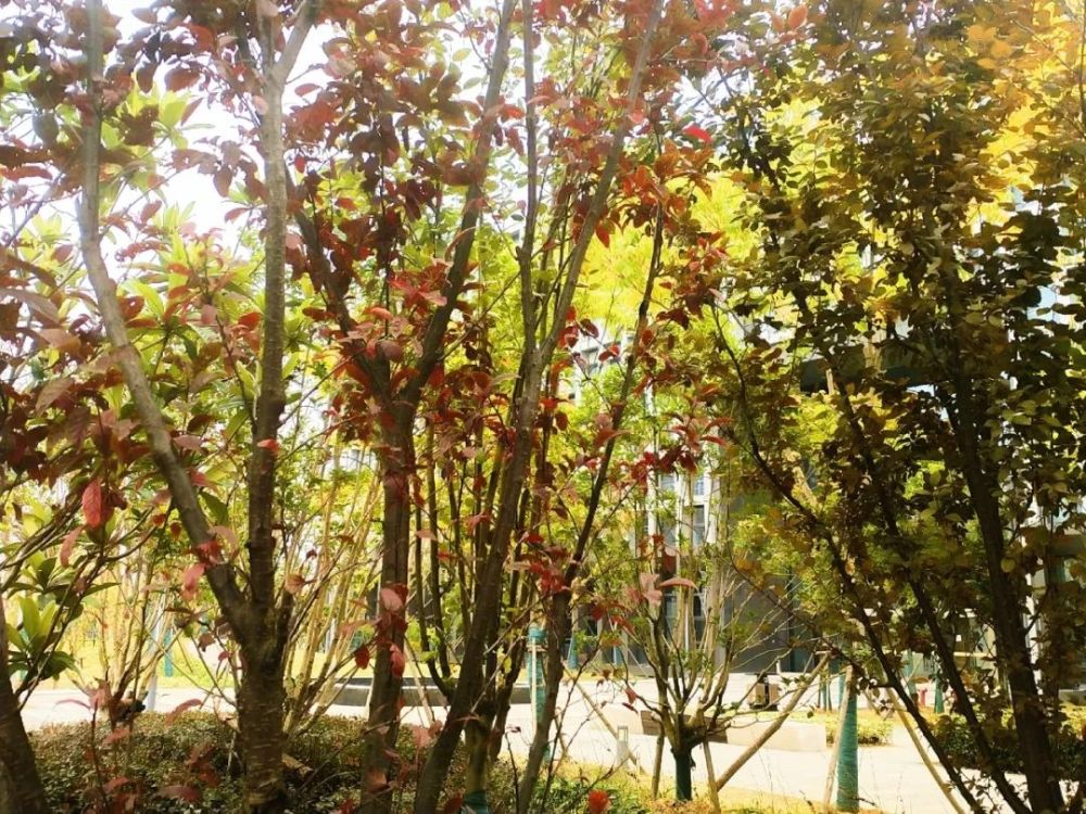 凛冬将至愿君勿念秋 腾讯新闻