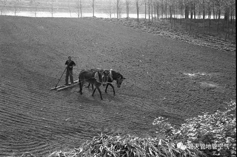 鲁西南记忆童年的农耕生活