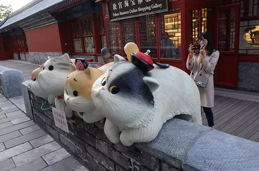 故宫巨型御猫走红品牌以猫御人为何屡试不爽