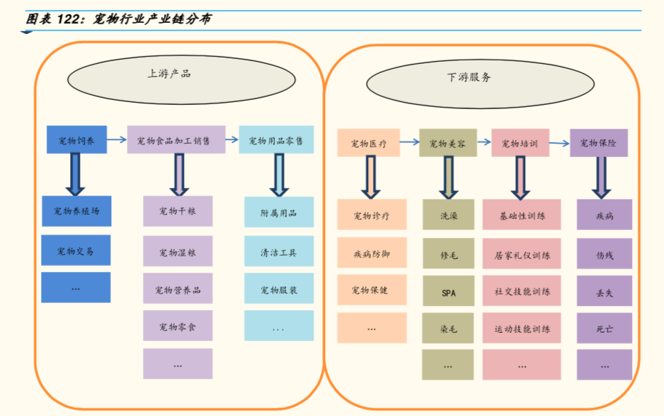 注：截图来自国金证券《单身经济报告》