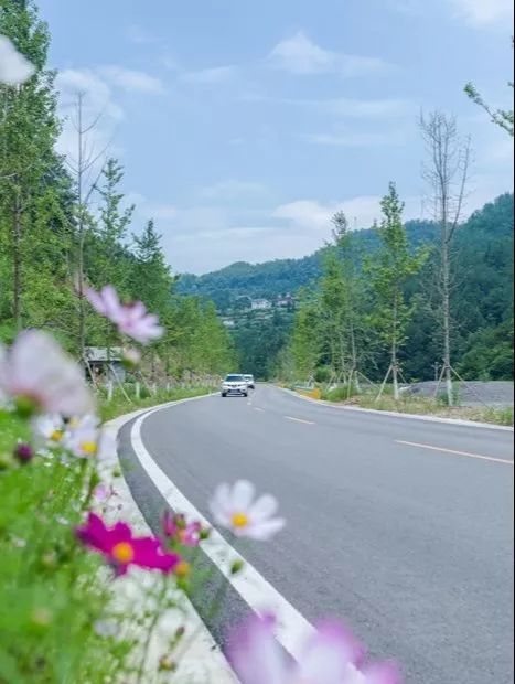 大山深处有条 黄金路 腾讯新闻