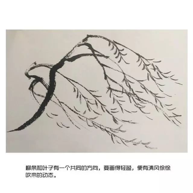 国画入门教程柳树画法想学的快来转发吧