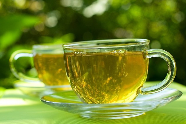 苦丁茶的功效及副作用 苦丁茶可以天天喝吗 腾讯新闻