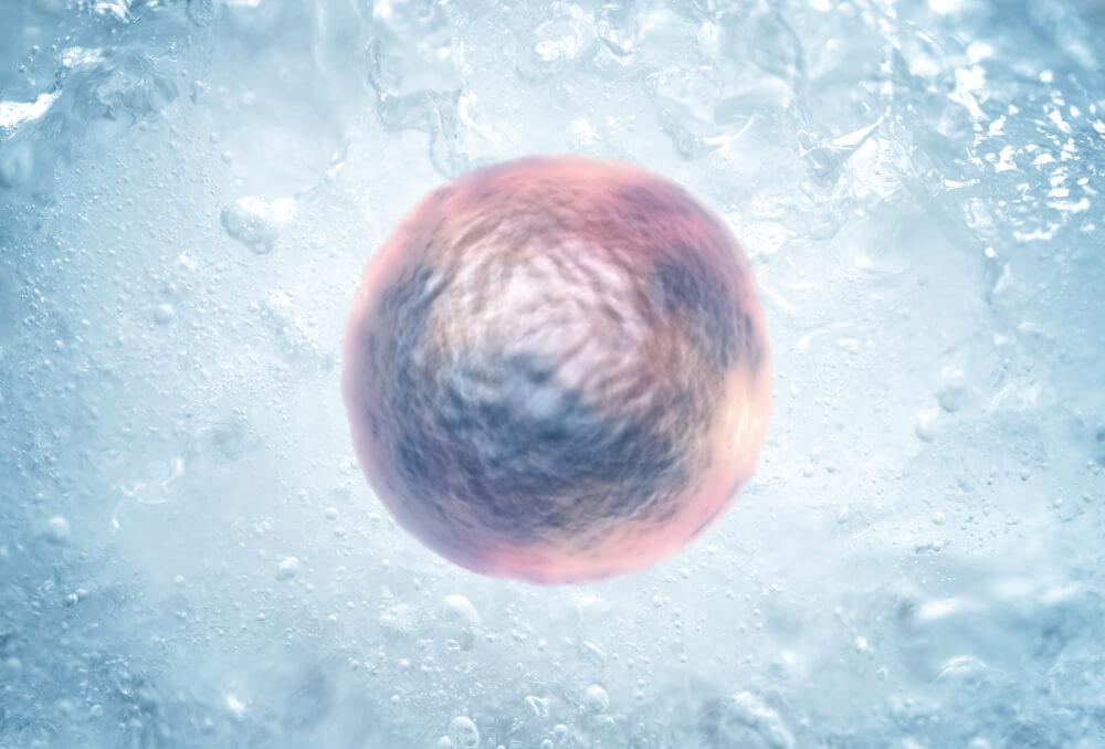 14岁就冻卵,冷冻卵子能够保存生育能力?