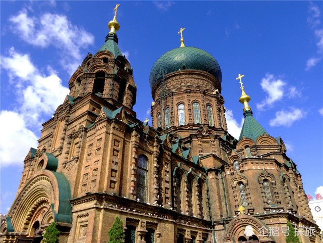 哈尔滨腾讯，哈尔滨腾讯公司