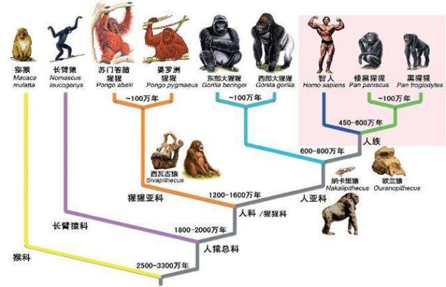 一口气搞懂 五次生物大灭绝 腾讯新闻