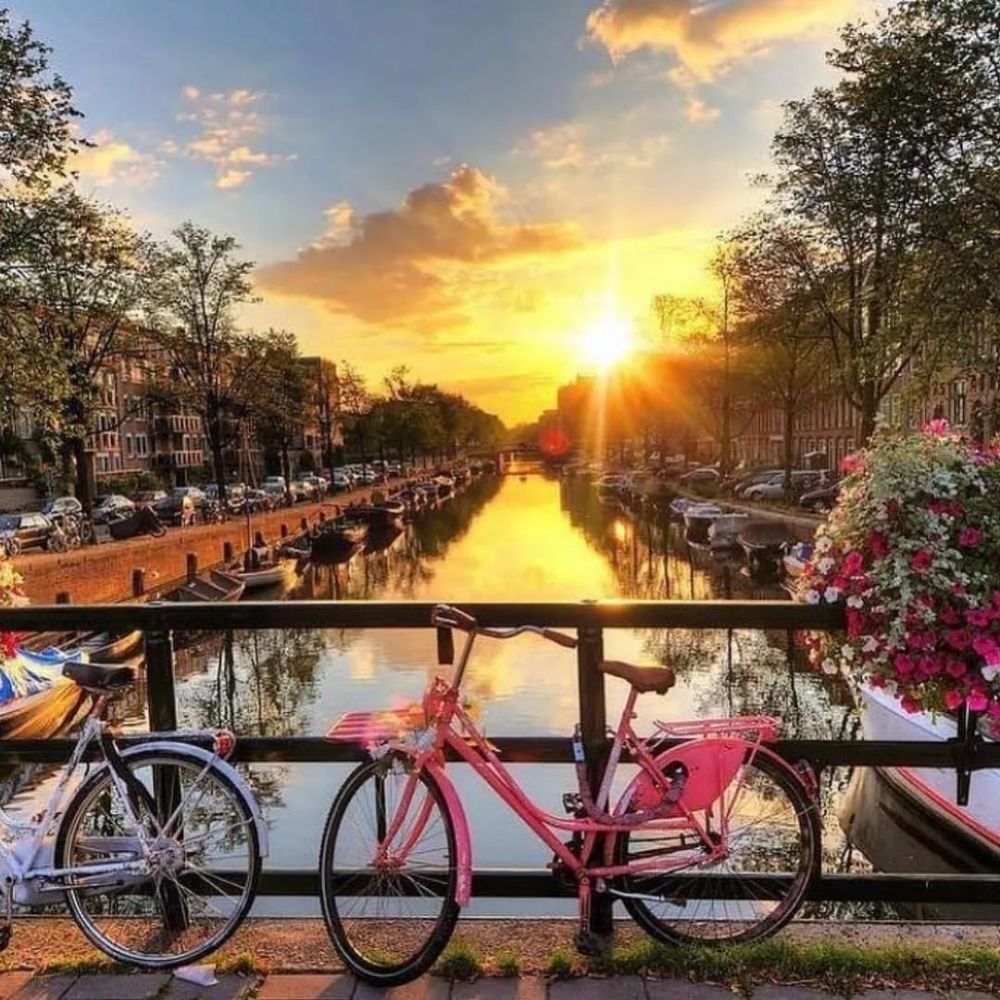 去荷兰留学一年花多少钱?看这一篇就够了!