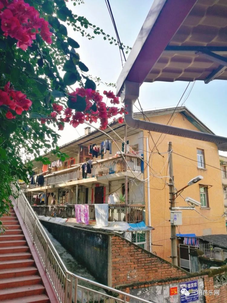 就在这,三明闹市区里还有人住这样的房子