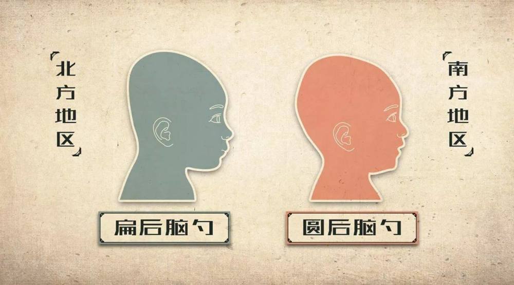 用八字论星座 双子座 本性就是纠结又自信 花心又执着 健谈又自闭 腾讯新闻