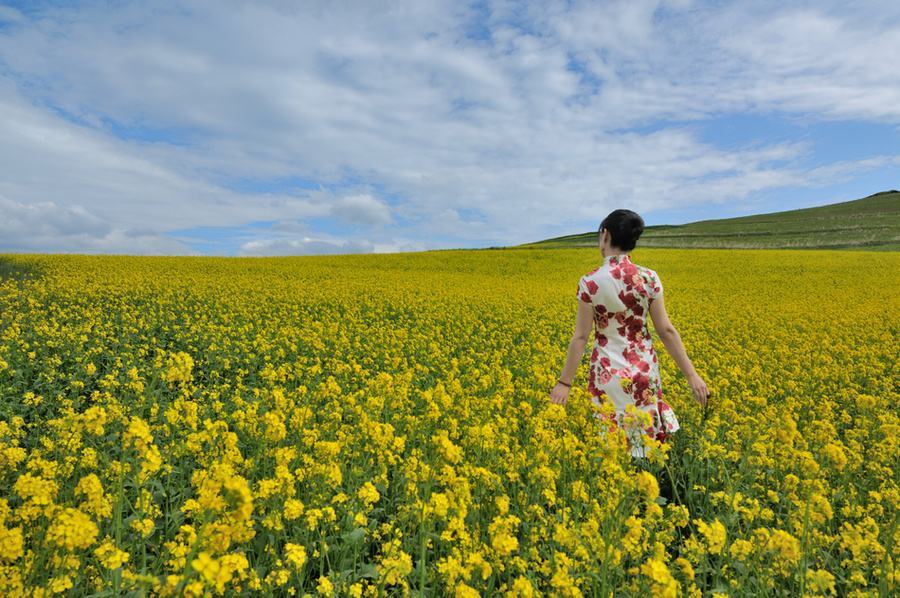 用八字论星座 双子座 本性就是纠结又自信 花心又执着 健谈又自闭 腾讯新闻