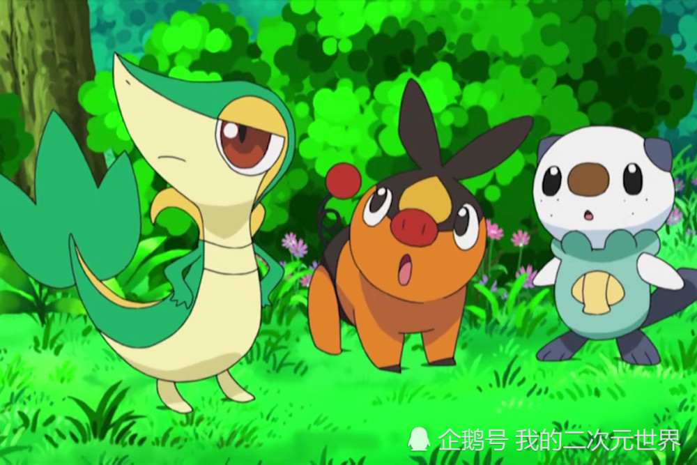 精灵宝可梦 第4 5代 御三家 初始及进化形态 还是最初的可爱 腾讯新闻