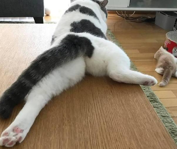 641