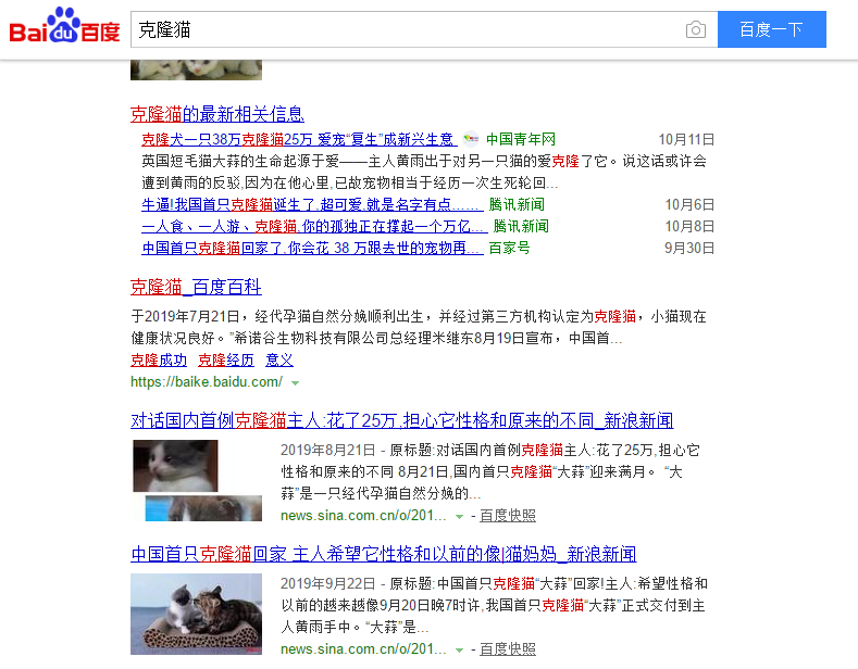 还记得那只克隆猫 的妈妈吗 腾讯新闻