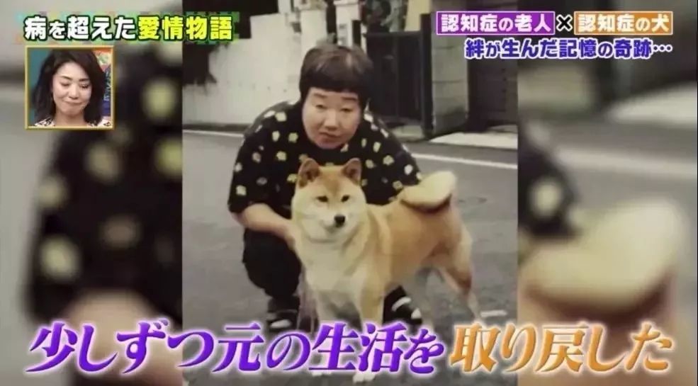 日本奶奶和柴犬同患痴呆症 久别重逢后感人一幕发生了 腾讯新闻