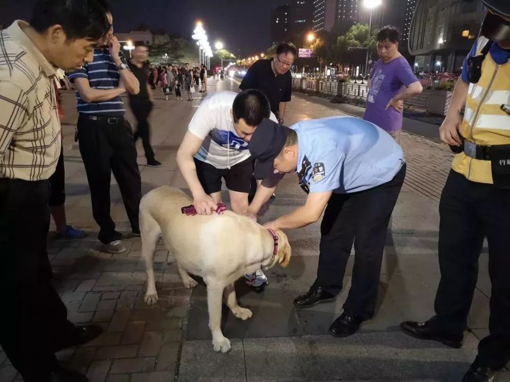 "我们遇上遛狗不牵狗绳,随地大小便,带狗去往人流密集的公共场所的,该