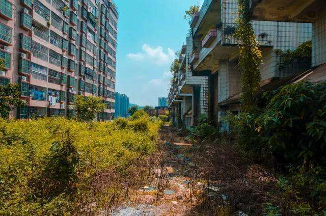 中国"最没尊严"的烂尾楼:20亿别墅成菜地?却变穷人的天堂!