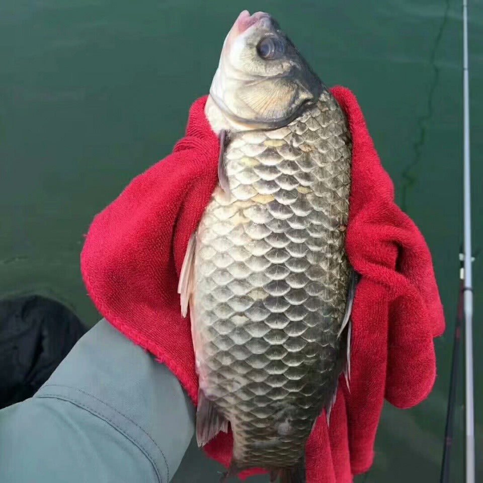 专攻大鲫鱼,聊聊不同时速线组钩,饵技法以及一些细节