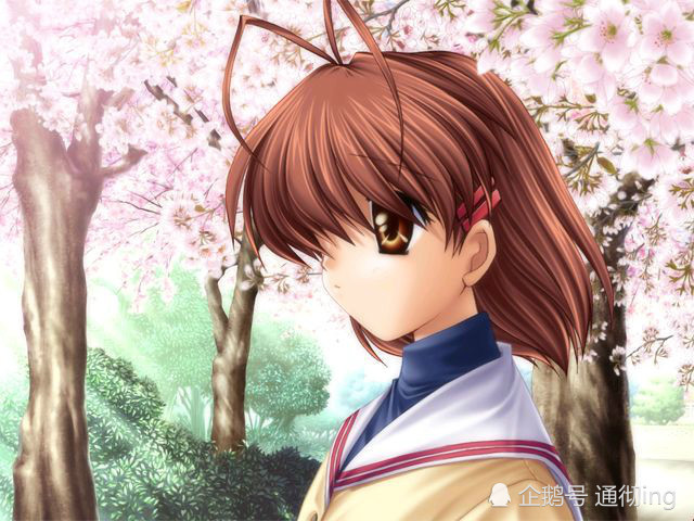 Clannad 冈崎朋也与古河渚的恋情 腾讯新闻