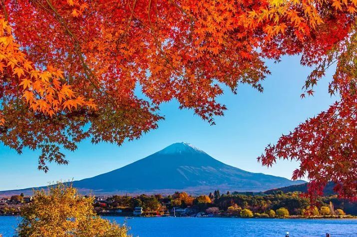 日本的枫叶季可以美成这样 又一 望红 景点 快来打卡 腾讯新闻