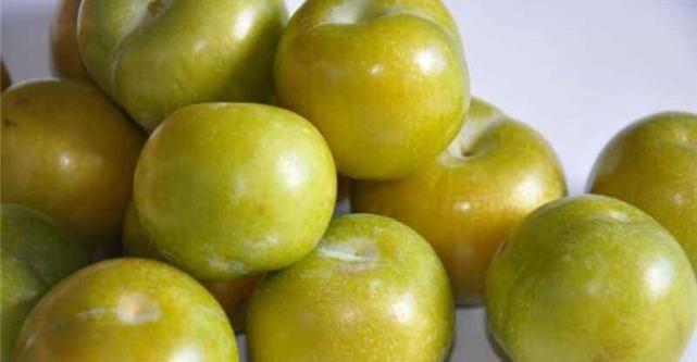 全球十种最酸水果酸油柑被誉为世界上最酸的水果