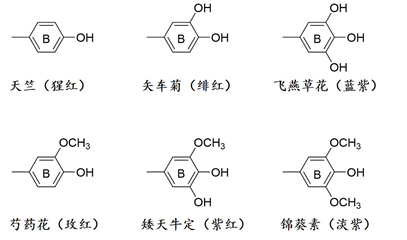 化学科普专栏 酸碱指示剂 腾讯新闻