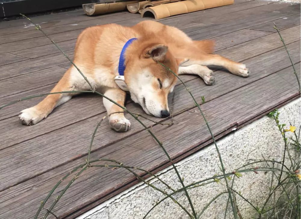 这个视频太棒了 一定要看 腾讯新闻