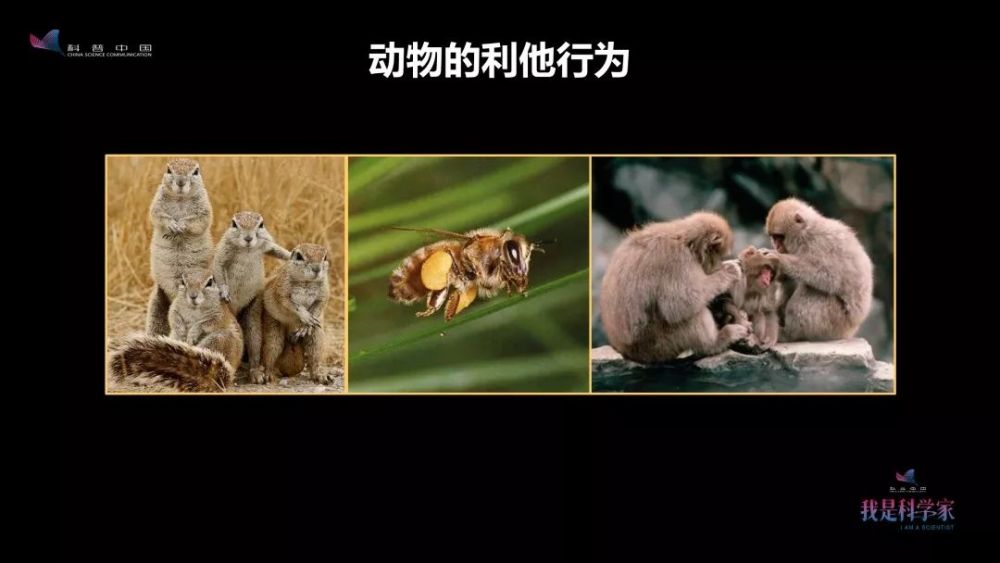 因为自私所以善良 有的科学家用研究帮助他人 而我关心他们为什么这样做 腾讯新闻
