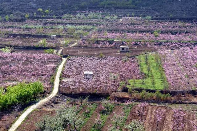 唐山丰润左家坞镇29个村地名故事