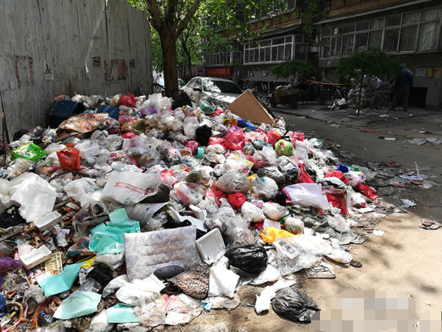 石家庄一小区垃圾成堆无人清理 街道办:卫生费