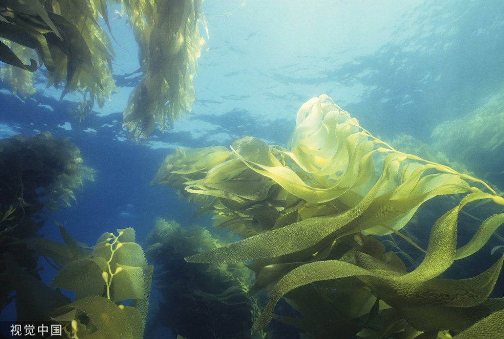 肝排毒好不好怎么知道注意观察是否有8个表现身体会告诉你