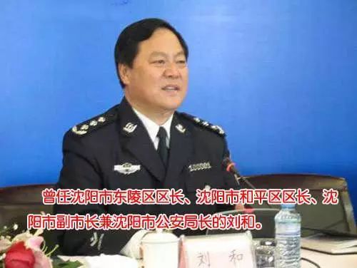 沈阳公安局长杨建军被查,勾起警坛回忆