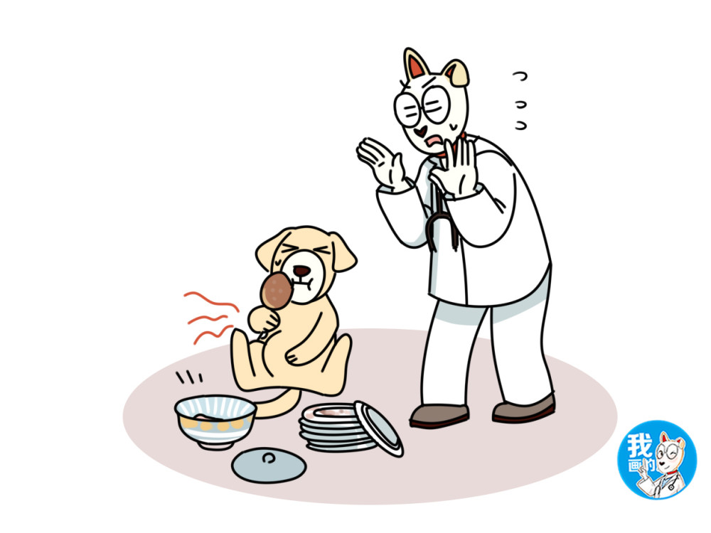 感的,如果这个时候不加以制止反而过量喂养这对狗狗来说是极其不利的