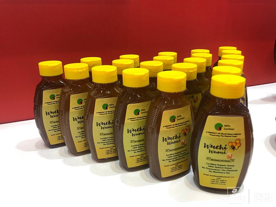 非洲唯一主宾国赞比亚馆里藏着"动物园"|进博直击·赞比亚馆