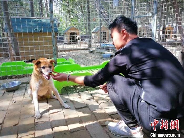 宠物犬心理调整师 狗狗行为问题七成在于主人 腾讯新闻