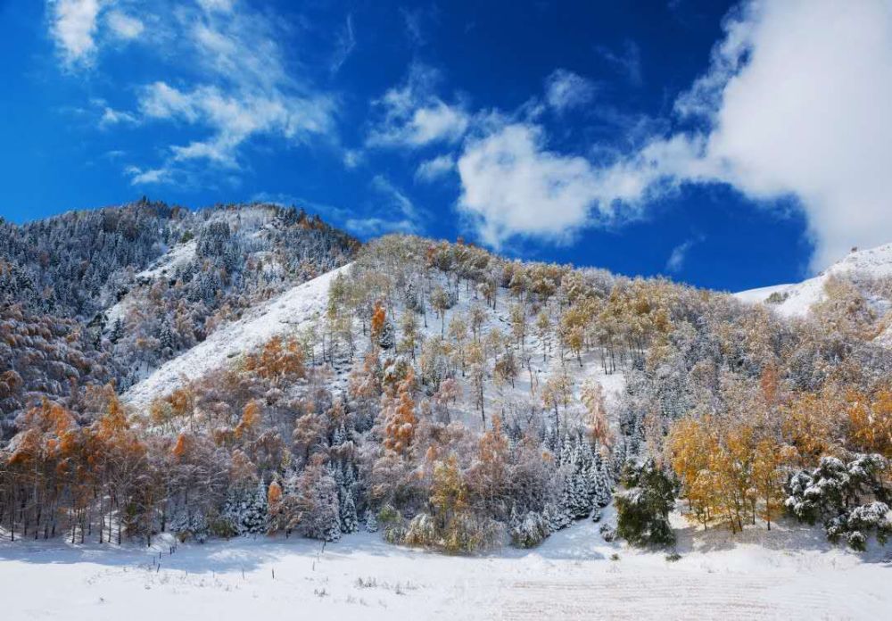 丝路庭州天山木垒 19 年冬春季冰雪旅游 集结号 腾讯新闻