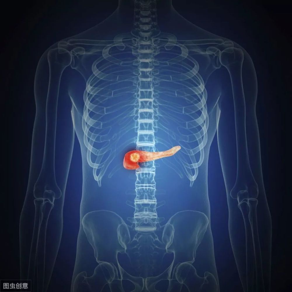 胰腺炎疼痛的位置图图片
