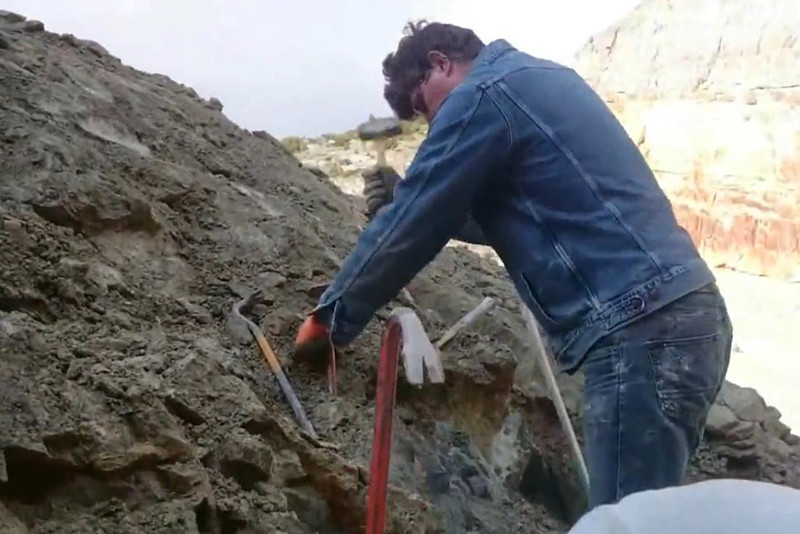 野外岩层藏着黄色矿物外国男子拿着工具兴奋地凿开后