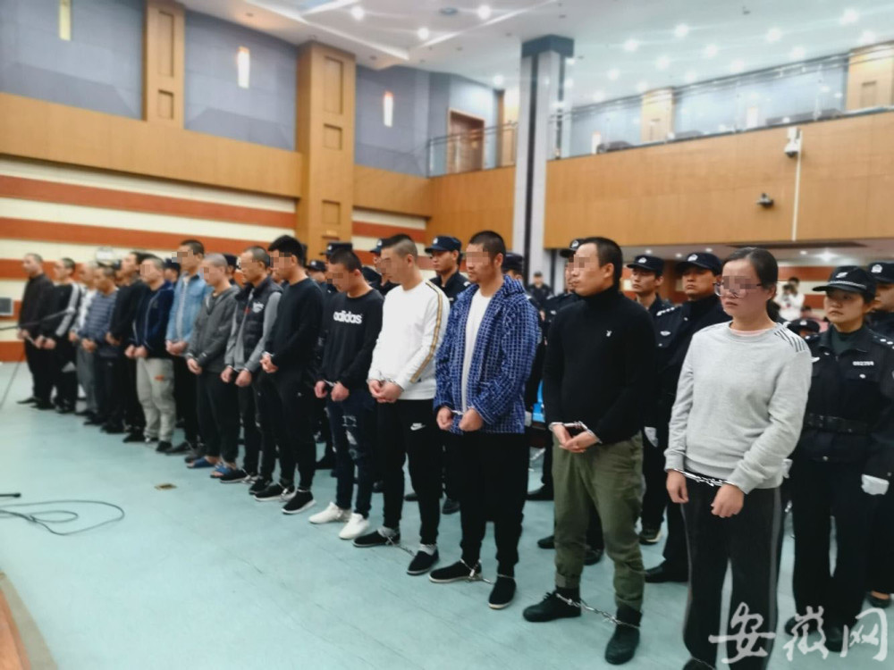 心肠凶狠手段毒辣合肥黑老大杨春燕获刑25年