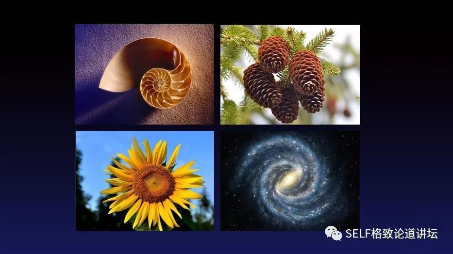 快递|双11在即，你操心你的快递吗？这个方法让你的快递更快到家